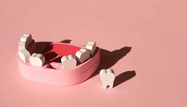 歯が抜けてしまった模型