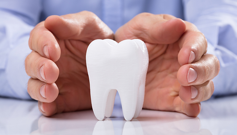 1本の歯の模型を守るように両手で囲っている写真。インプラント治療は健康な隣接歯を削る必要がありません