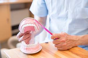 歯科医師による模型を使用した歯磨き指導