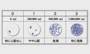唾液1mlあたりのミュータンス菌の検査結果