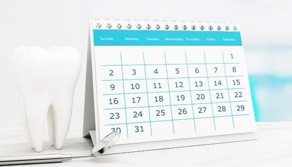 歯の模型とカレンダー