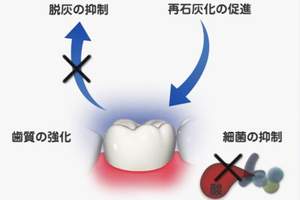フッ素の働きのイラスト
