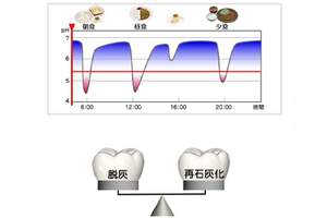 唾液の分泌が減り、虫歯になりやすい時間帯のグラフ